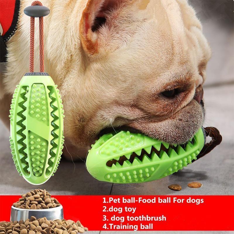 צעצוע מברשת שיניים לכלבים