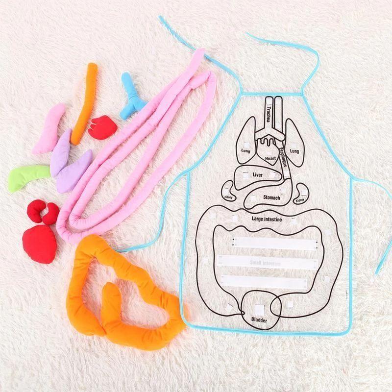Tablier d&#39;anatomie corporelle - Un jouet éducatif pour les enfants