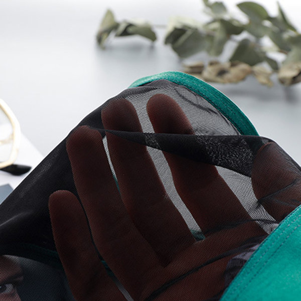 Sexy See Through Mesh Panties