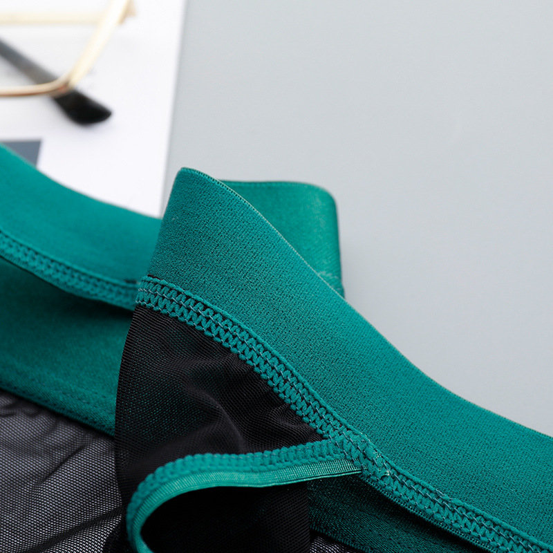 Sexy See Through Mesh Panties