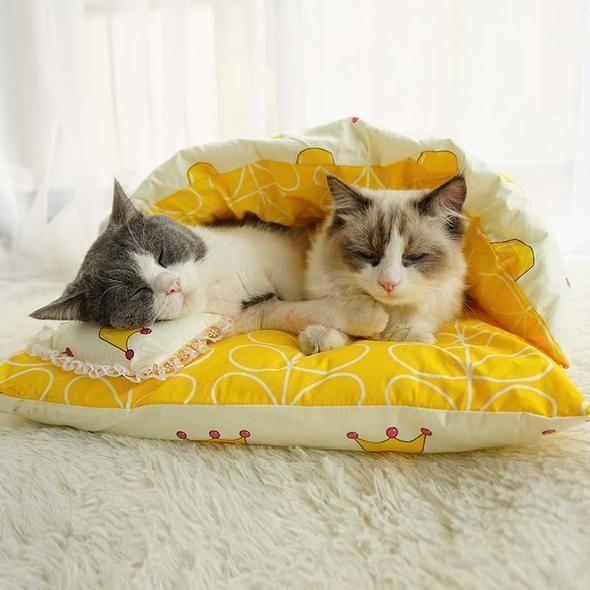 Teplý spací vak pre mačky