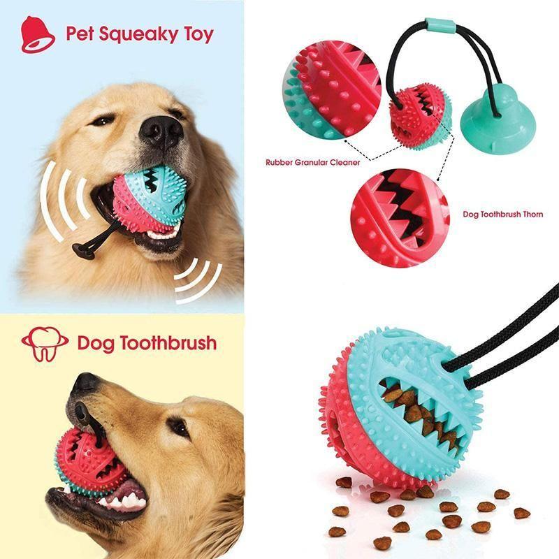 Chew toys for dogs