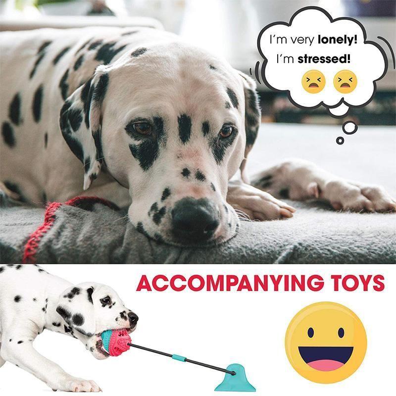 Jucării de mestecat pentru câini