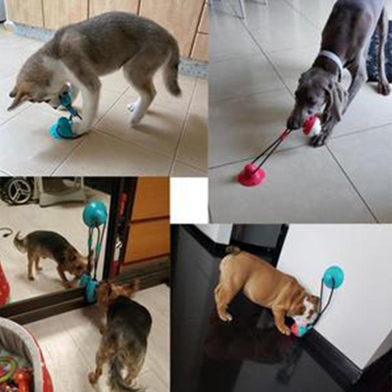 Žvýkací hračky pro psy