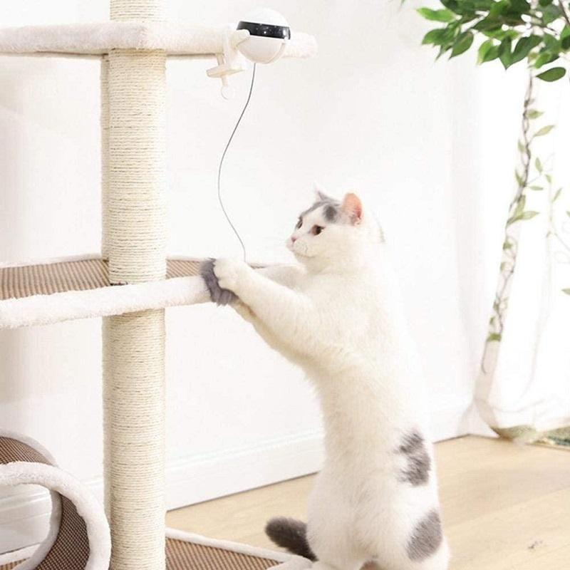Jucărie electrică pentru pisici cu minge de ridicare