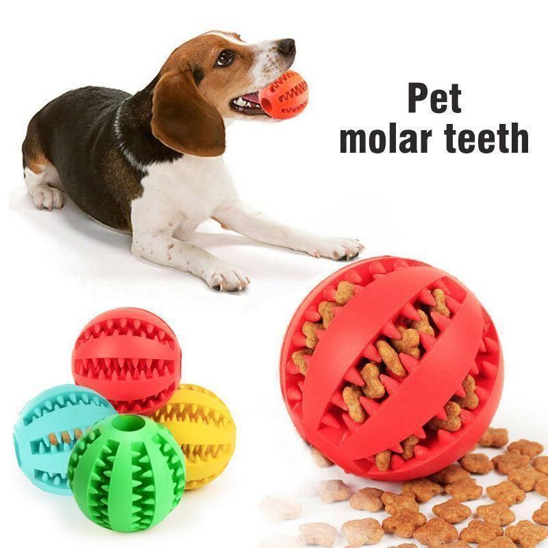 Куче дъвче гумена топка