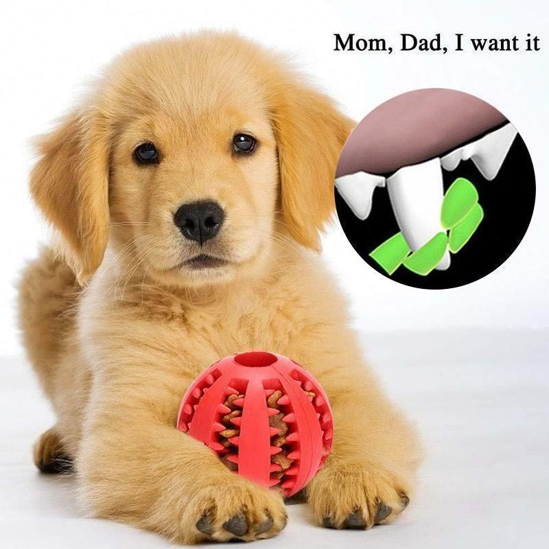 Gumowa piłka do żucia dla psa