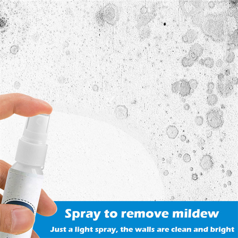 Detergent multifuncțional pentru mucegaiul de perete