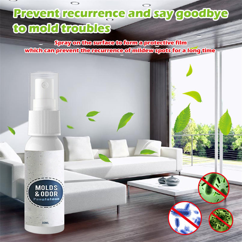 Detergent multifuncțional pentru mucegaiul de perete