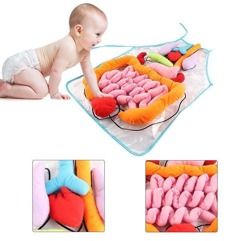 Scientific and Educational Human Viscera Early Teaching Bib - Educational Toys for Children