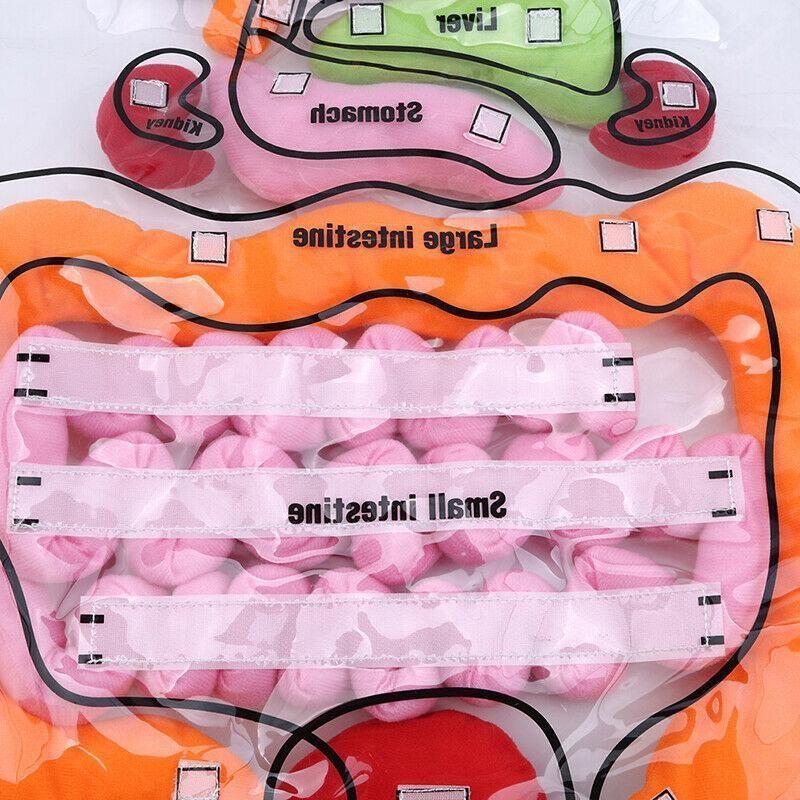 Престилка за анатомия на тялото - образователна играчка за деца