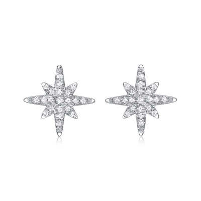 Round Shaped Cut Moissanite Meteor Sterling Silver Earrings