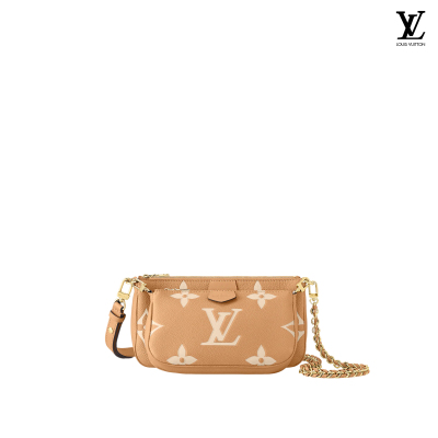 Louis Vuitton Multi Pochette Accessoires handbags