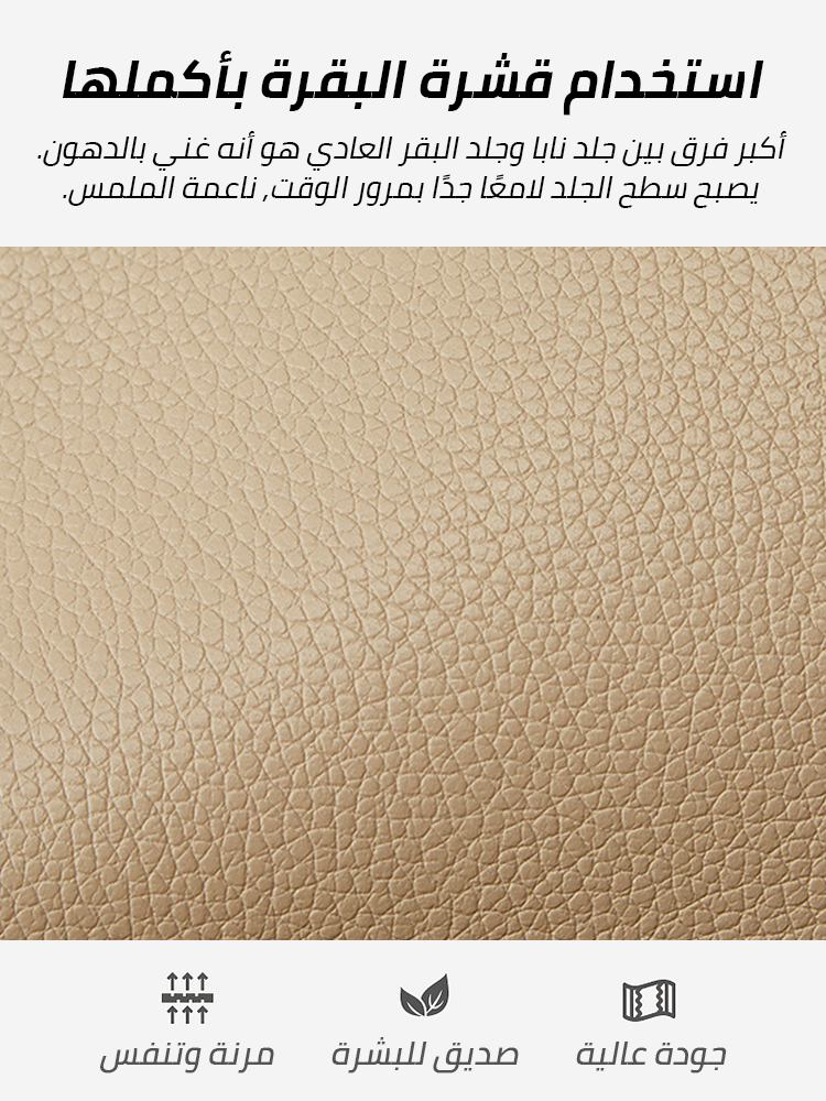 Platinum large -capacity women's bag