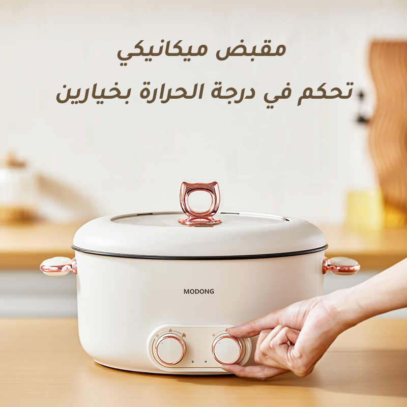 Multifunctional Double-flavor Electric hot pot