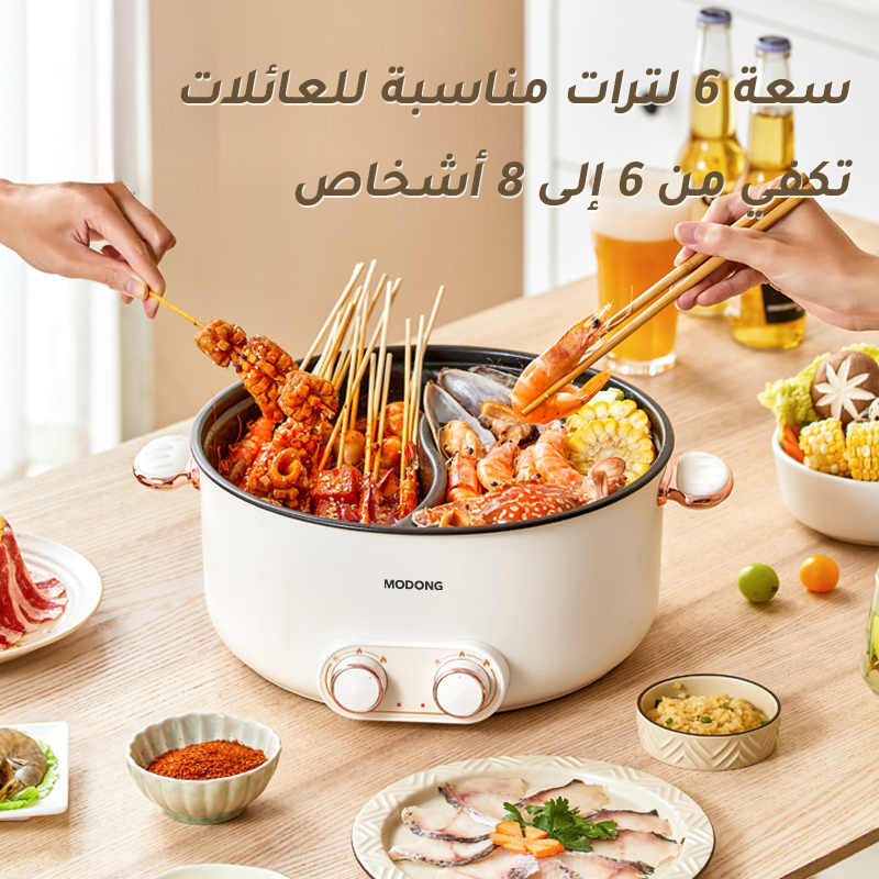 Multifunctional Double-flavor Electric hot pot