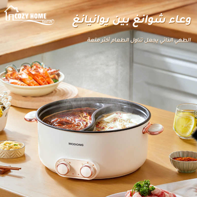 Multifunctional Double-flavor Electric hot pot
